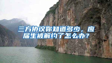 三方协议你知道多少，应届生被解约了怎么办？