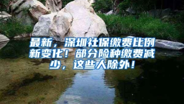 最新，深圳社保缴费比例新变化！部分险种缴费减少，这些人除外！