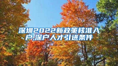 深圳2022新政策核准入户,深户人才引进条件
