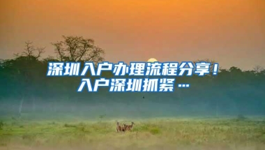 深圳入户办理流程分享！入户深圳抓紧…