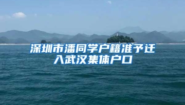 深圳市潘同学户籍准予迁入武汉集体户口