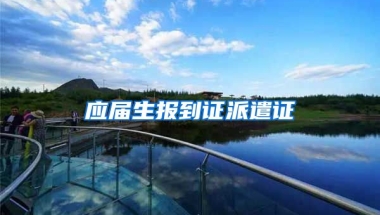 应届生报到证派遣证