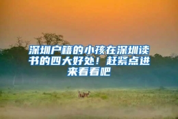 深圳户籍的小孩在深圳读书的四大好处！赶紧点进来看看吧