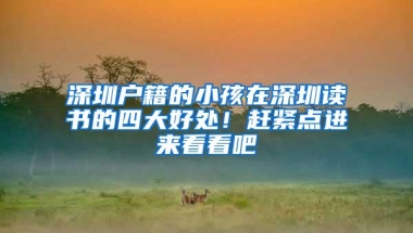 深圳户籍的小孩在深圳读书的四大好处！赶紧点进来看看吧