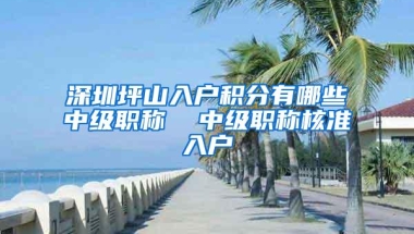 深圳坪山入户积分有哪些中级职称  中级职称核准入户