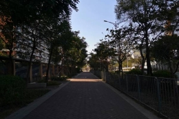 教你掌握应对深圳核准制入户步骤在哪申请技巧，轻松解决问题