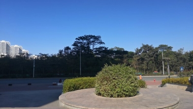 致不了解本科留学生深圳落户吗的朋友：我有一些建议想对你们说