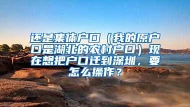 还是集体户口（我的原户口是湖北的农村户口）现在想把户口迁到深圳，要怎么操作？