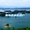 青岛市本科落户