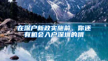 在深户新政实施前，你还有机会入户深圳的哦