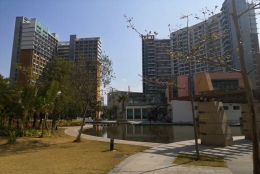 应对深圳挂集体户口在那个派出所问题有何思路？