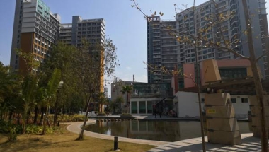 应对深圳挂集体户口在那个派出所问题有何思路？