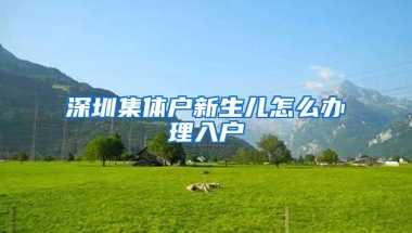 深圳集体户新生儿怎么办理入户