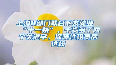 上海11部门联合下发就业“十一条”，干货多了两个关键字，保障性租赁房进校