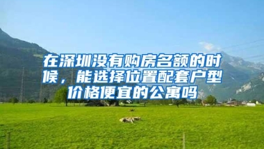 在深圳没有购房名额的时候，能选择位置配套户型价格便宜的公寓吗