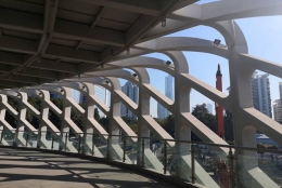 深圳集体户口迁出流程的应对问题你了解吗？