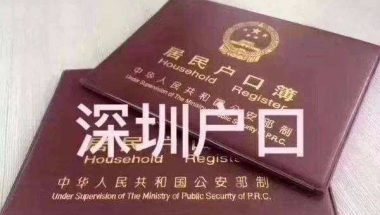 留学生入户深圳集体户口(父亲是深圳集体户口新生儿怎么入户)