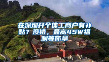 在深圳开个体工商户有补贴？没错，最高45W福利等你拿