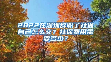 2022在深圳辞职了社保自己怎么交？社保费用需要多少？