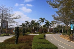 深圳集体户口挂靠亲友问题全指南