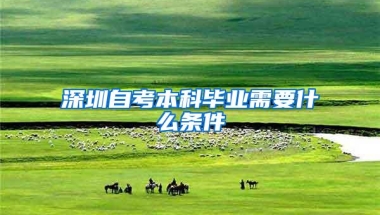 深圳自考本科毕业需要什么条件