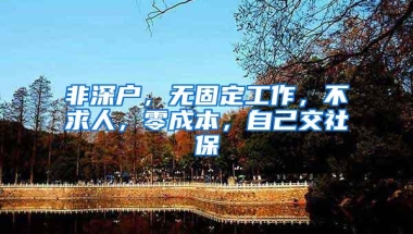 非深户，无固定工作，不求人，零成本，自己交社保