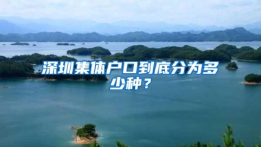 深圳集体户口到底分为多少种？