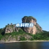 本科教育