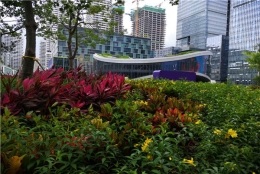 一个惊人的事实告诉你，2021年深圳集体户口迁出外省为什么会这样！