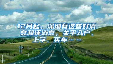 12月起，深圳有这些好消息和坏消息，关乎入户、上学、买车……