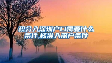 积分入深圳户口需要什么条件,核准入深户条件