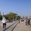 这些2021年海口市人才引进细则信息居然可以让你节省一笔费用！