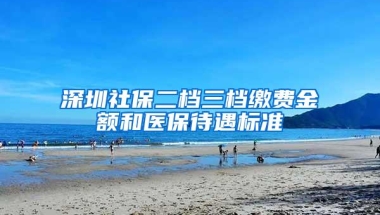 深圳社保二档三档缴费金额和医保待遇标准