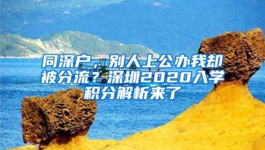 同深户，别人上公办我却被分流？深圳2020入学积分解析来了