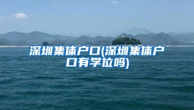 深圳集体户口(深圳集体户口有学位吗)