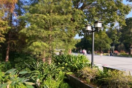 你应该想不到的深圳公司单位集体户口应对方法！