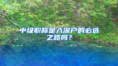中级职称是入深户的必选之路吗？