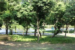 这篇文章解决了90%的入户深圳是集体户口问题！