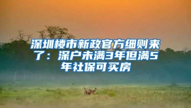 深圳楼市新政官方细则来了：深户未满3年但满5年社保可买房