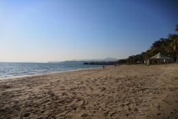 关于深圳大学集体户口首页我是如何看待的？