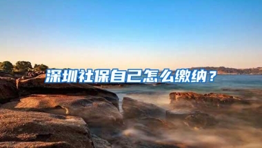 深圳社保自己怎么缴纳？