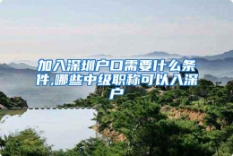 加入深圳户口需要什么条件,哪些中级职称可以入深户