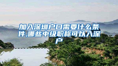 加入深圳户口需要什么条件,哪些中级职称可以入深户