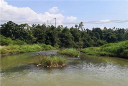 是否厌倦了深圳研究生落户补贴？试试这个方法！