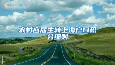 农村应届生转上海户口积分细则