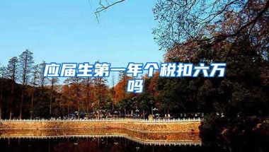 应届生第一年个税扣六万吗