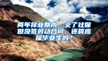 两年择业期内，交了社保但没签劳动合同，还算应届毕业生吗？
