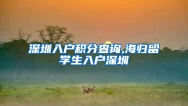 深圳入户积分查询,海归留学生入户深圳
