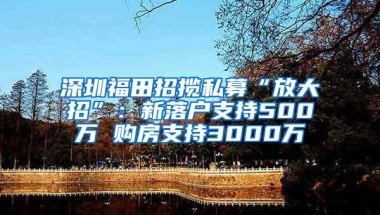 深圳福田招揽私募“放大招”：新落户支持500万 购房支持3000万