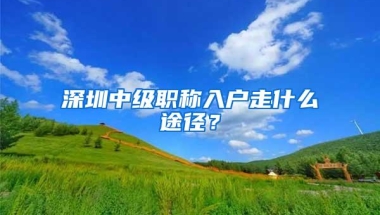 深圳中级职称入户走什么途径？